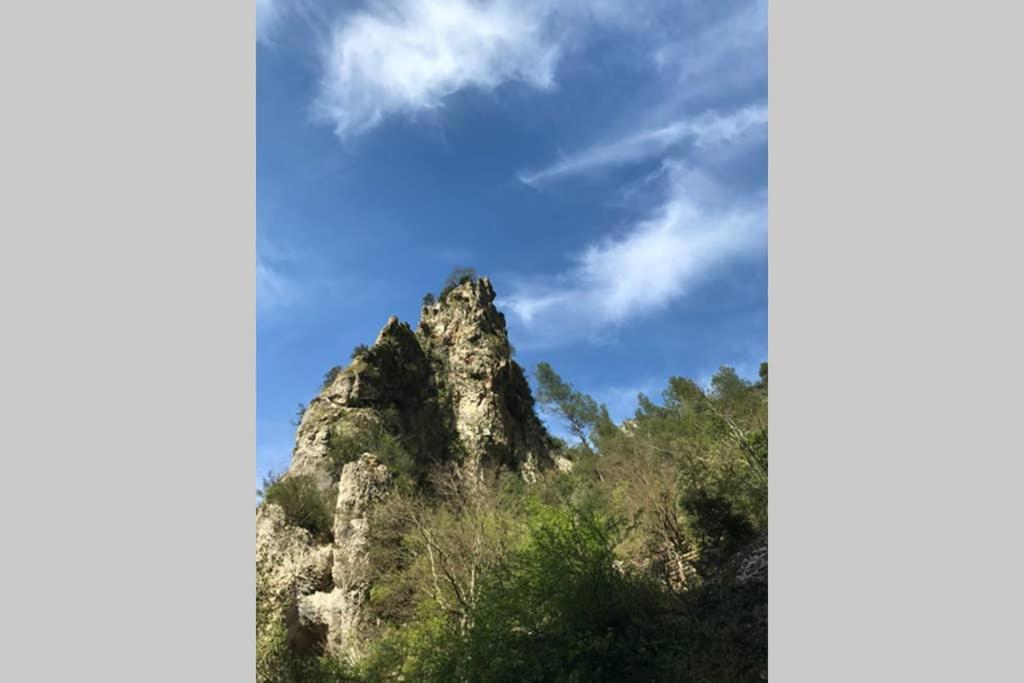 La Mansio Villa ลีล-ซูร์-ลา-ซอร์ก ภายนอก รูปภาพ